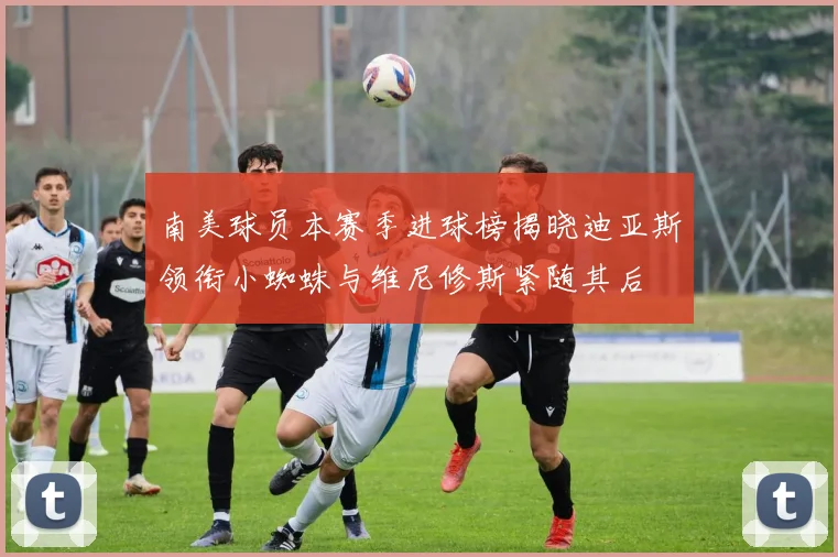 南美球员本赛季进球榜揭晓迪亚斯领衔小蜘蛛与维尼修斯紧随其后