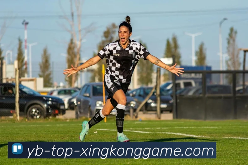 星空体育APP 封面图